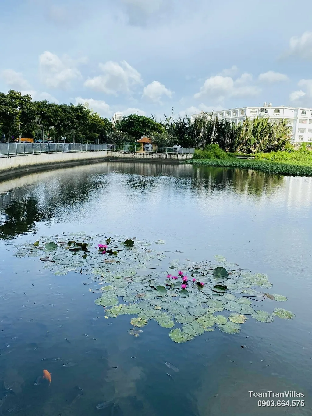 Hồ điều hòa cạnh Masteri Thảo Điền