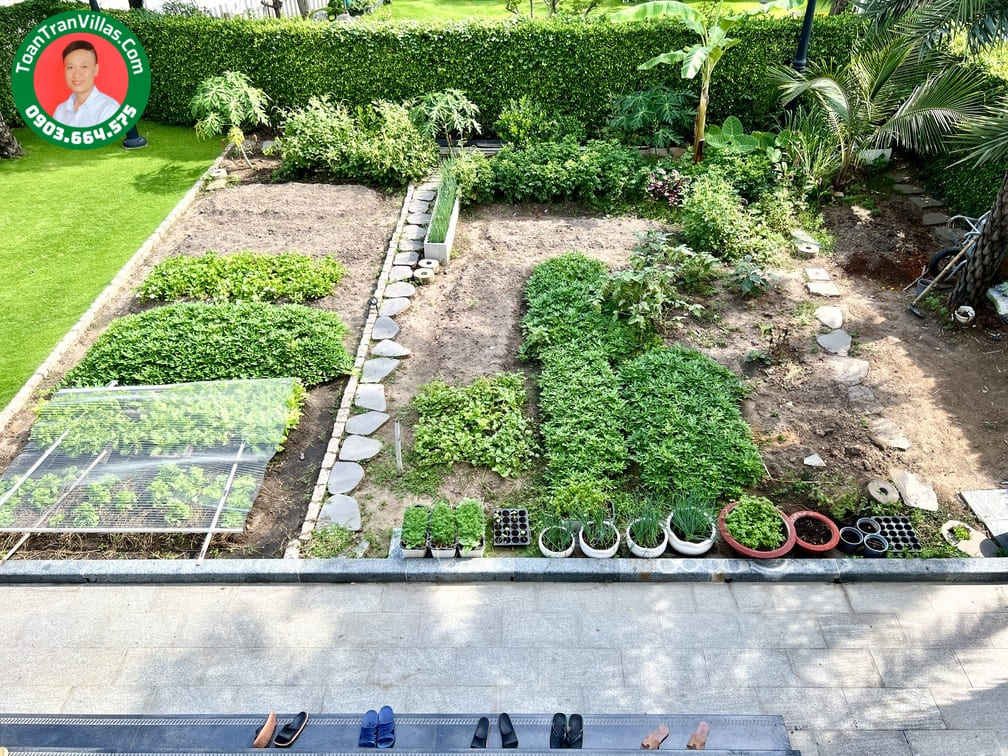 Biệt thự Thủ Đức Garden Homes ven sông