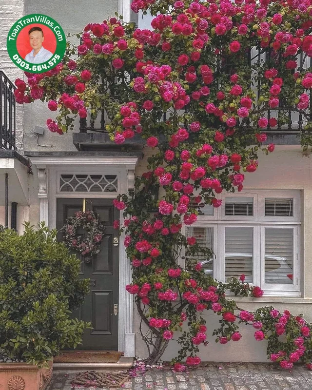 Biệt thự song lập · sân vườn · 372 m² · Garden Homes Thủ Đức