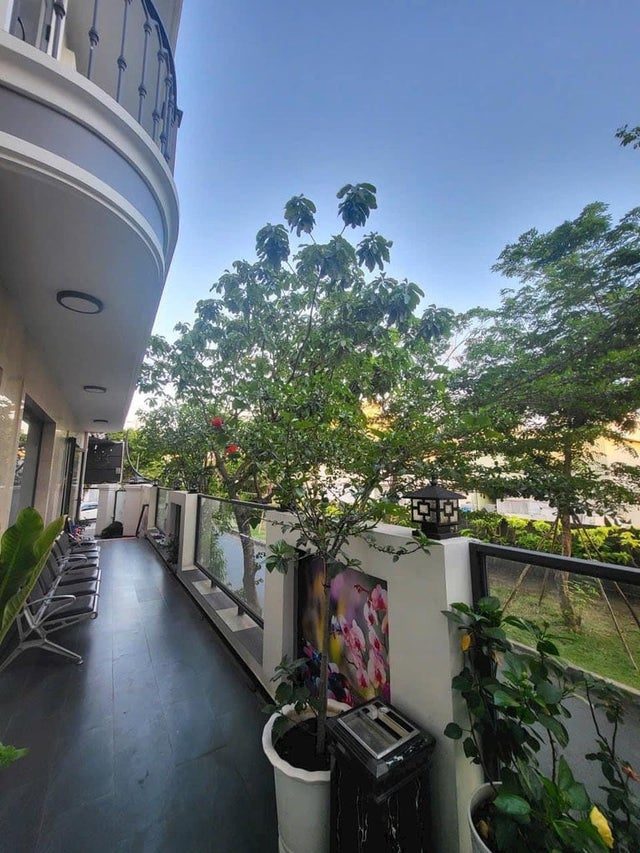 Cho con học ở đâu khi về Vạn Phúc City: bản đồ trường từ mầm non tới lớp 12